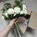 꽃송이가 | 청주 프로포즈 꽃반지 프리저브드 5만원 꽃송이가 솔직후기