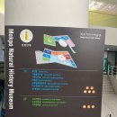 목포자연사박물관 | 목포 아이랑 갈만한곳 추천｜목포 자연사박물관 초등학생 관람 후기