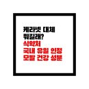 엔지엔 | 케라넷 대체 뭐길래? 식약처가 유일하게 인정한 모발 건강 성분