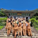 스테이 청춘 이미지