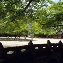 한국의 세계문화유산 이미지