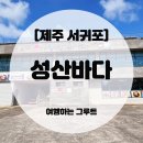 고성리-6 | 성산바다, 성산일출봉맛집 서귀포 뼈없는 갈치조림 후기 🐟