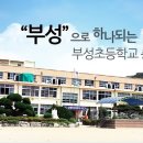 부성초 이미지