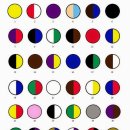 신기하게 잘 맞는 색채 심리 테스트.jpg 이미지