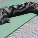 상빈농장 이미지