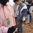 고림초등학교 이미지