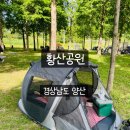 원터치텐트 가능한 황산공원 희망의숲 방문 후기