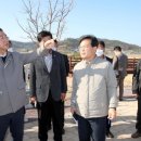 평화숲 이미지