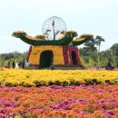 드림파크 이미지