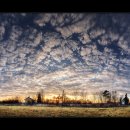 로댕목장 이미지