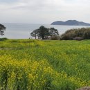 거제 머물다 풀빌라 펜션 이미지