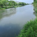 제 2,271회 갑천 트레킹 이미지