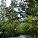 금오산약수터 | 구미 [ 금오산 ] 등산 코스 추천