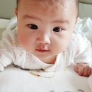 다솜떡방