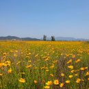 낙동강체육공원 어린이놀이터 이미지