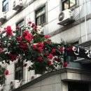 신림동주민센터 | 신림동 여성전용 고시원 함인정고시원 합격자 다수 배출한 명당 고시원