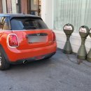 댕댕회관 이미지