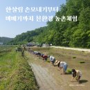 의성운수 노동조합 | [공지] 손모내기 체험 벼베기까지 직접 심고 수확하는 친환경 농촌체험