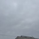 금구식당 이미지