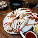 바다마차 이미지