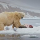 The millen 이미지