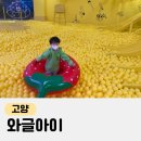 노란 풀장에 풍덩, 색감이 예쁜 키즈카페 와글아이 일산점