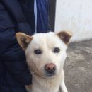 우리마트 이미지