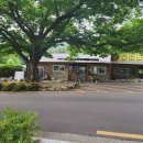 정자나무공원 이미지