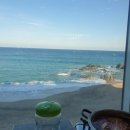 제일회타운 이미지