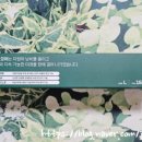 더프레쉬모어 주식회사