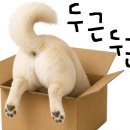 빽다방대구 - 중구 대봉로 222 | 빽다방대구