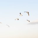 행복의 동산 이미지