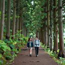 한라산둘레길안내센터 이미지