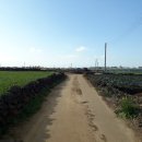 동일리 지석묘 2호 이미지