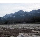 월출산3호 이미지