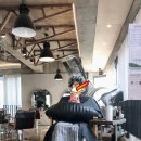 2월 일기 (울산 / 목포 / 스시 / 설 / 자취요리)