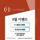초이비