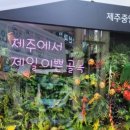 개봉현대약국 이미지