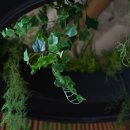 윈썸메이커