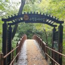 소담하게