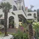 스테이카멜7 이미지