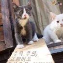 추락주의 이미지