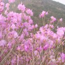 행복동산 이미지