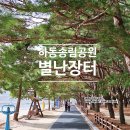 청년거리문화한마당 | 하동가볼만한곳 송림공원에서 열리는 별난장터 초대가수와 행사 여행코스