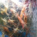 하운드호텔서면 이미지