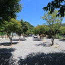 월악 한울캠핑장 이미지