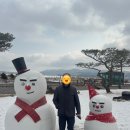 대형목장 | [충남 서산] 공간 넓고 뷰 좋은 대형카페, 서산 목장카페 다녀온 후기