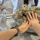 경주대구 당일치기여행 미피스토어 다인매운등갈비찜 황리단길(명퉤+경주얼굴빵+탁월)