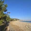 관성솔밭해변 이미지