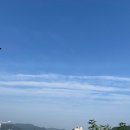 [일상] #오전러닝#이천 모밀 맛집 소복소복, #별뜻없어, #불쌍한것을 즐기는 휴먼(인터넷방송을보며)